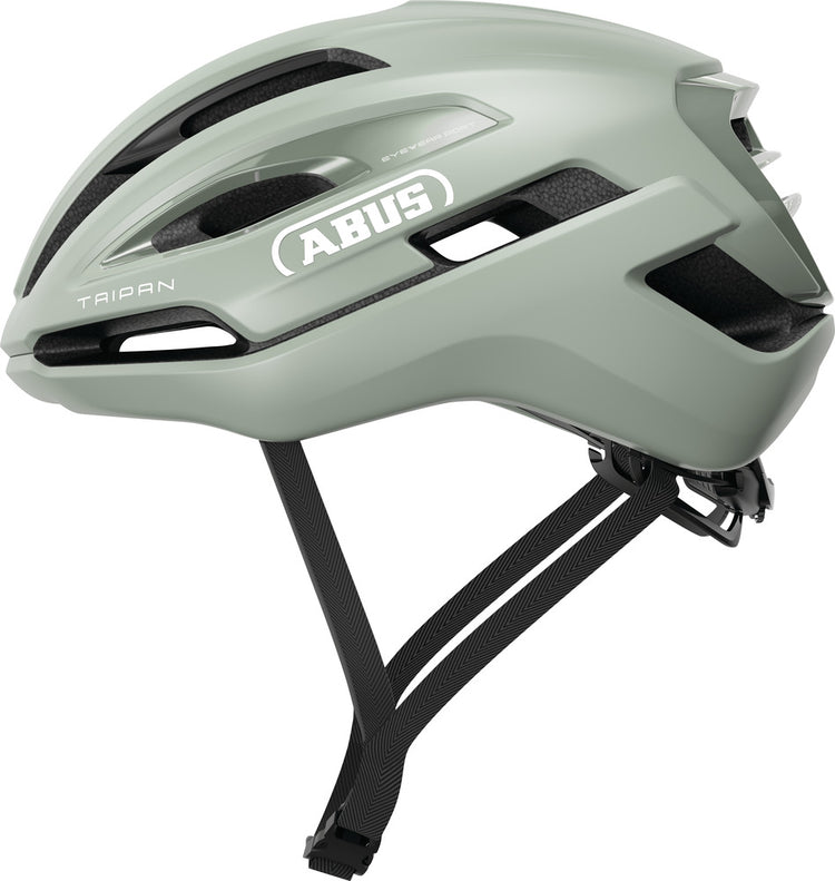 abus taipan frosted green