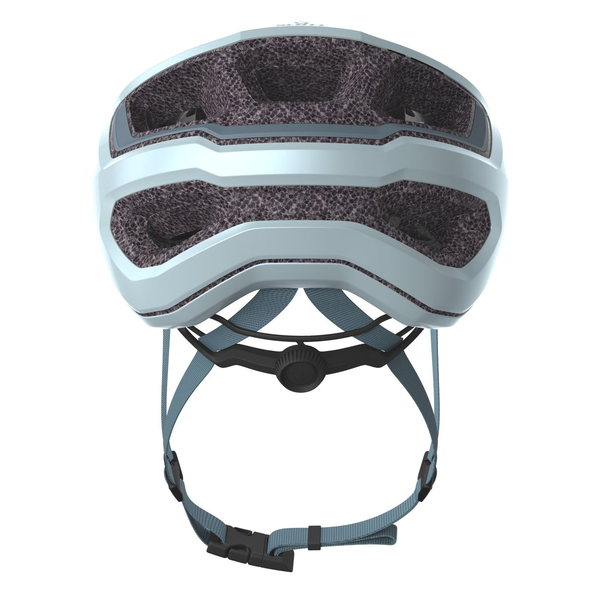 scott arx whale blue